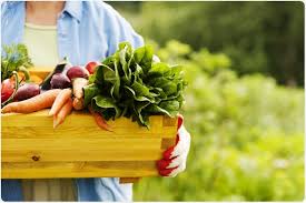 organic health